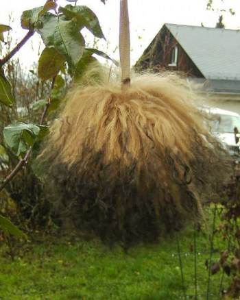 Bommel Tibetlamm camel-braun